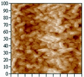氧化锌薄膜的AFM图