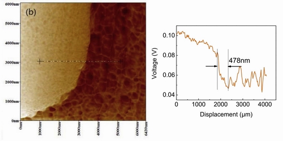 碳纤维-环氧树脂碳纳米管力调制检测结果